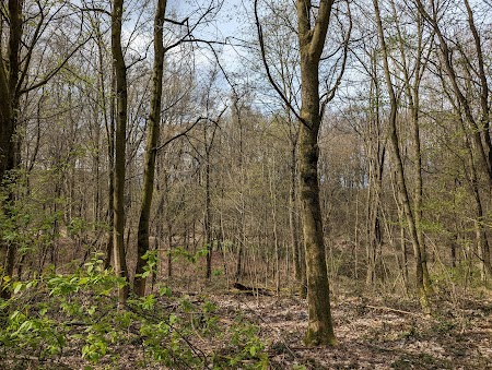 Nordlager – Bild 6