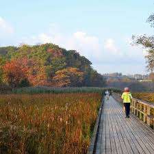 RBG Hendrie Valley Sanctuary – Bild 4