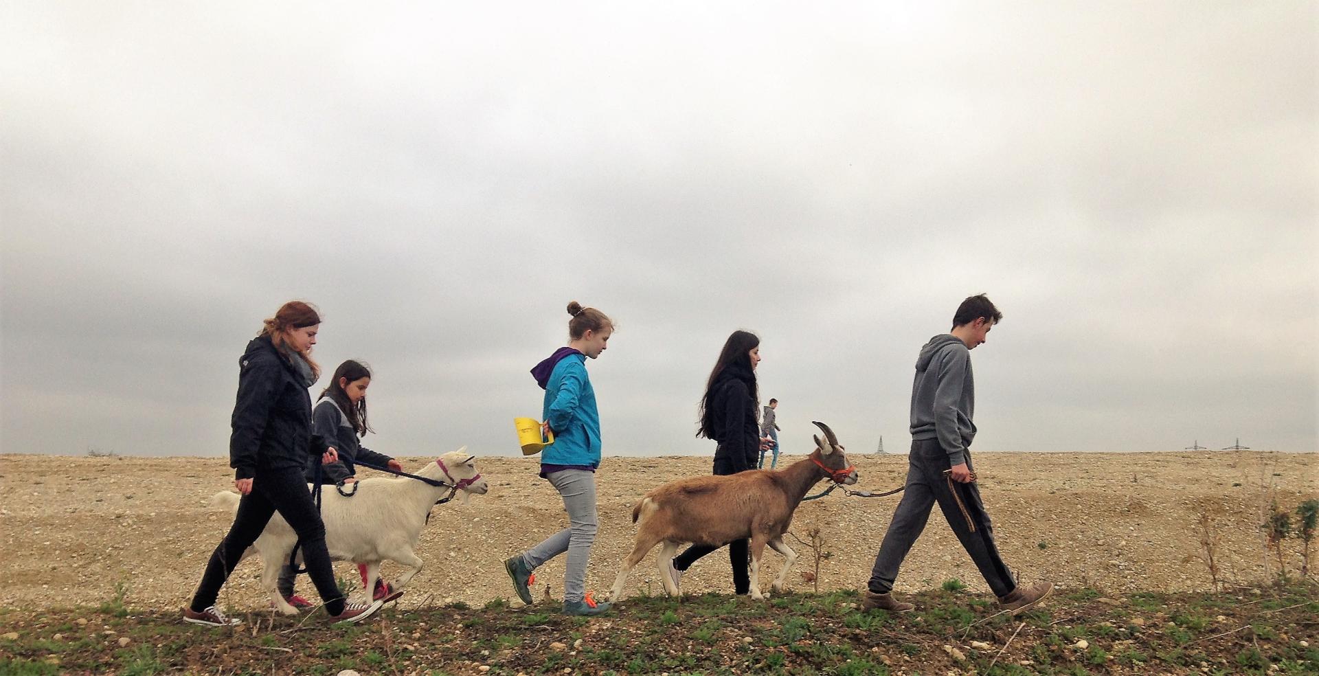 Kinder- und Jugendfarm Neuaubing – Bild 2