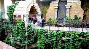 Bird Kingdom – Bild 3