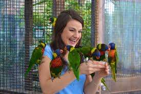 Bird Kingdom – Bild 4