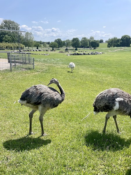 XXl Hüpfburgenstadt Zehlendorf – Bild 2