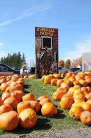 Chappell Farms – Bild 2