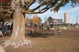 Chappell Farms – Bild 3