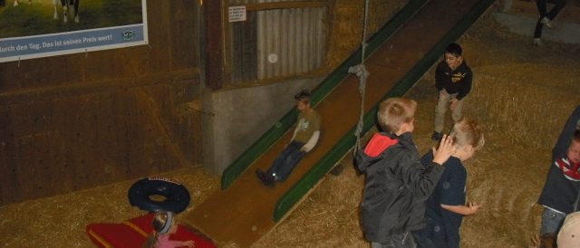 Mühlenhof - Wahlers Christiane "Kindergeburtstag und Urlaub auf dem Bauernhof" – Bild 4