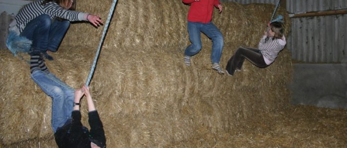 Mühlenhof - Wahlers Christiane "Kindergeburtstag und Urlaub auf dem Bauernhof" – Bild 5
