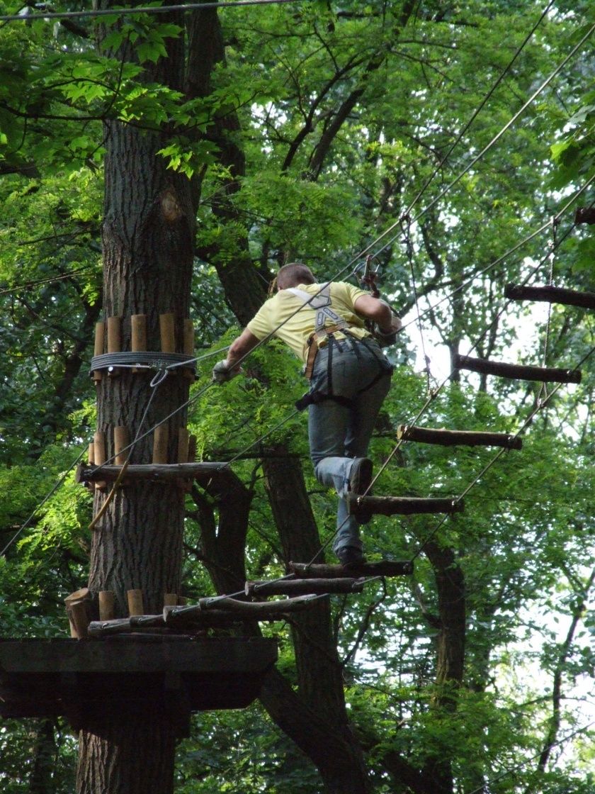 Natur-Hochseilgarten – Bild 2