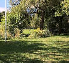 Donald Street Park – Bild 2