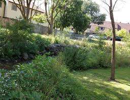 Donald Street Park – Bild 3