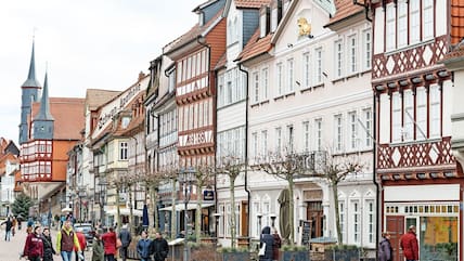 Stadtpark – Bild 6