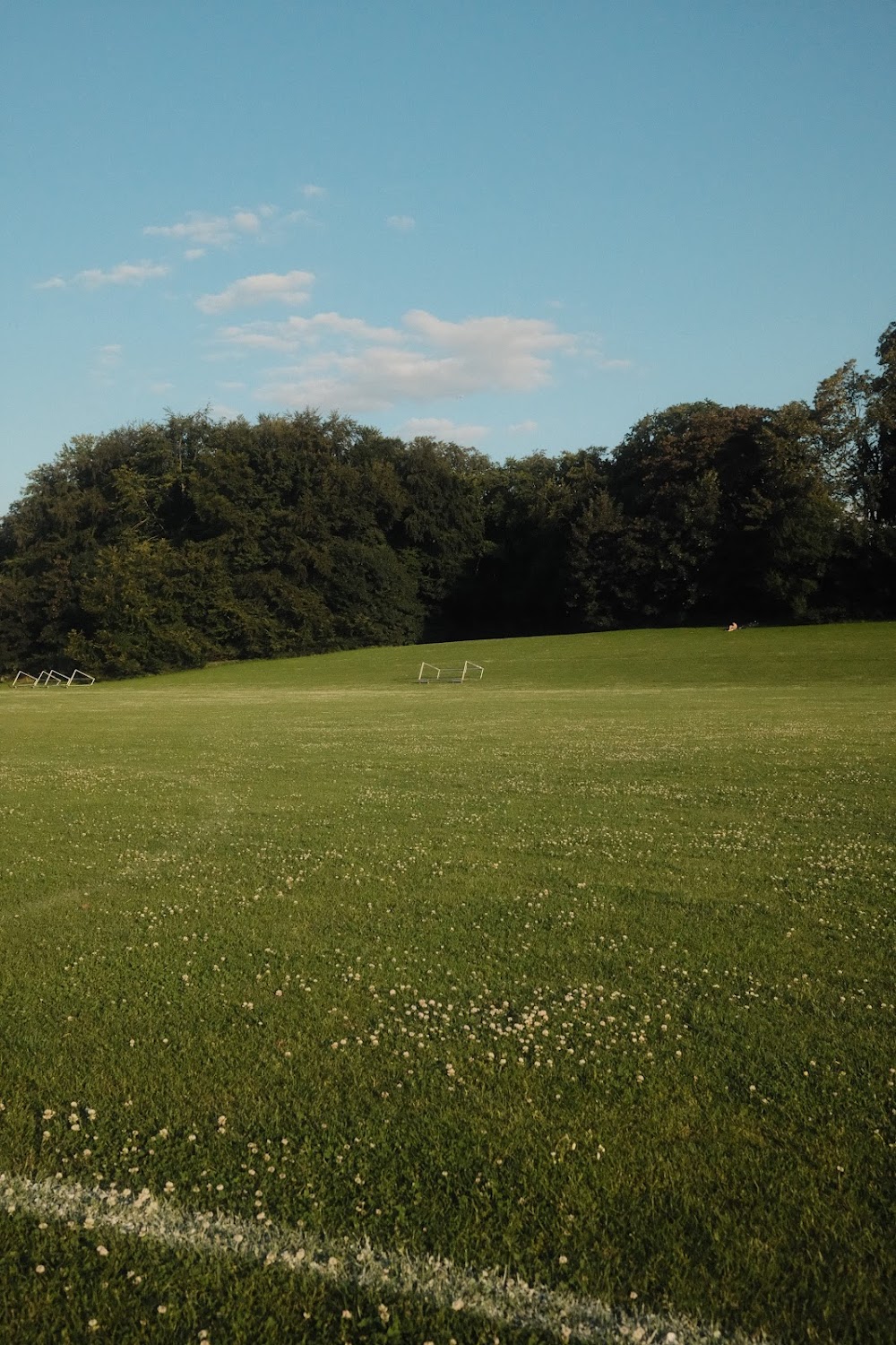 Kinderwald Pulheim – Bild 3