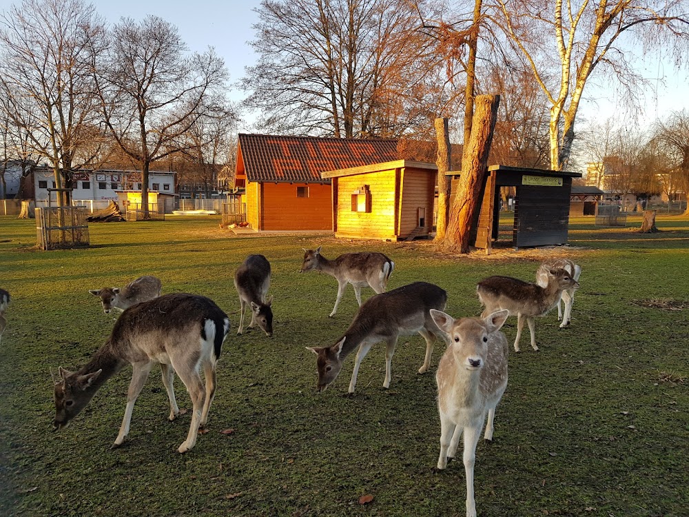 Kinderwald Pulheim – Bild 6