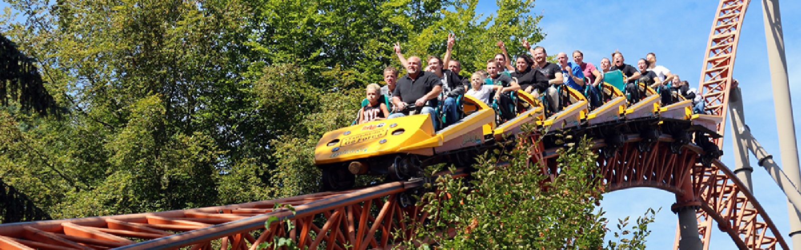 Verrückter Baum – Bild 3