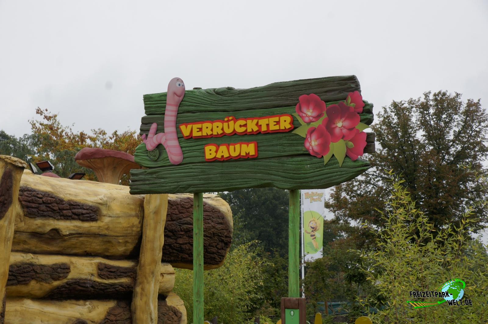 Verrückter Baum – Bild 4