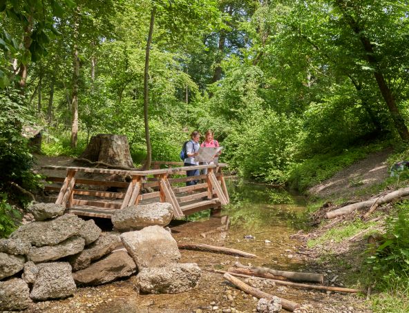 Natur Erlebnis-Pfad im Gries – Bild 3