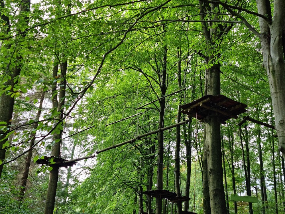 Kletterwald Halver - Kalisho Natursport – Bild 4