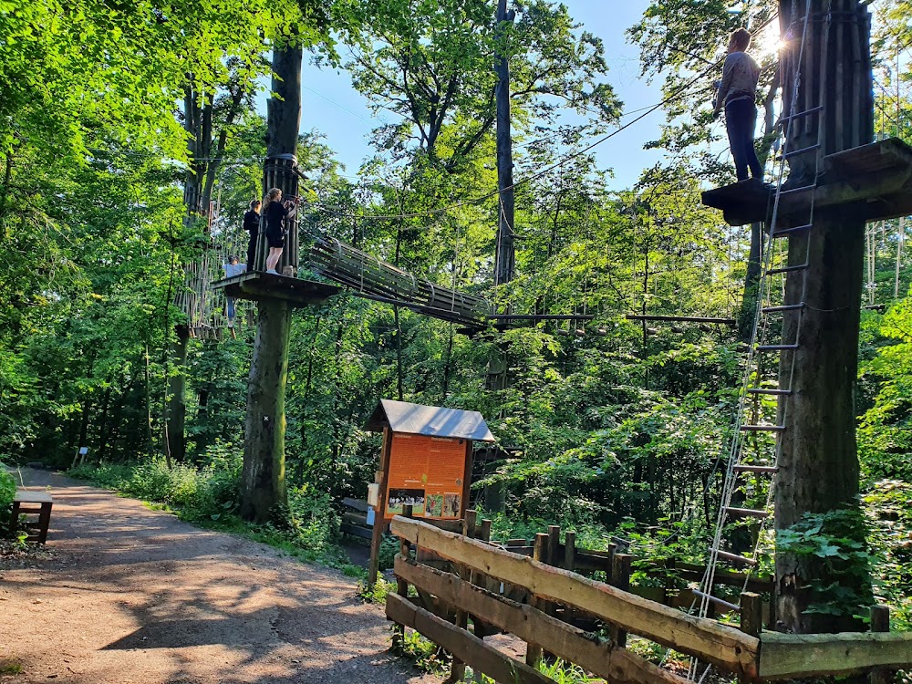 Kletterwald Halver - Kalisho Natursport – Bild 5