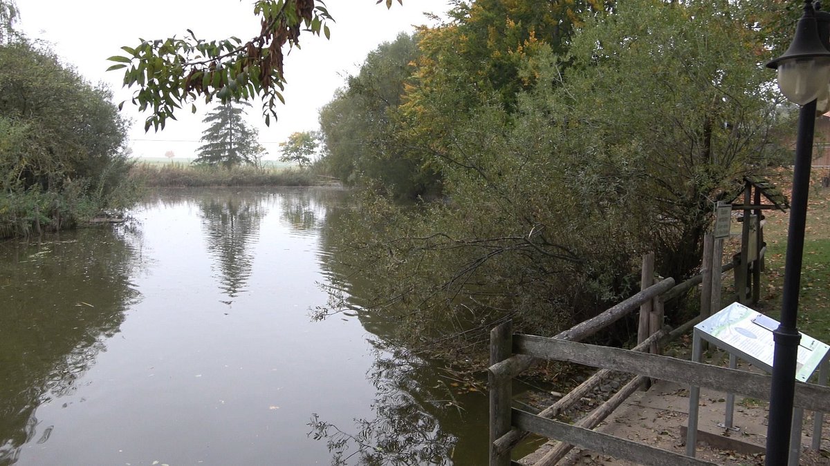 Erlebnis und Schulbauernhof – Bild 3