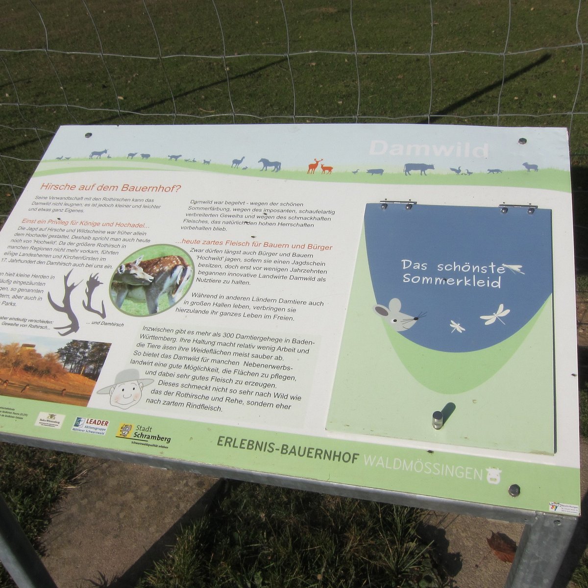 Erlebnis und Schulbauernhof – Bild 4