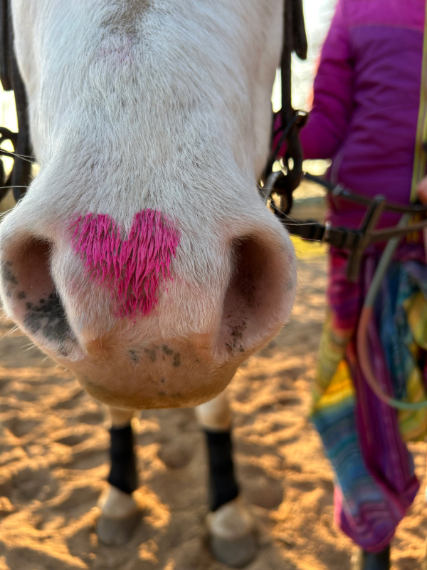 Hof Steckenpferd – Bild 2