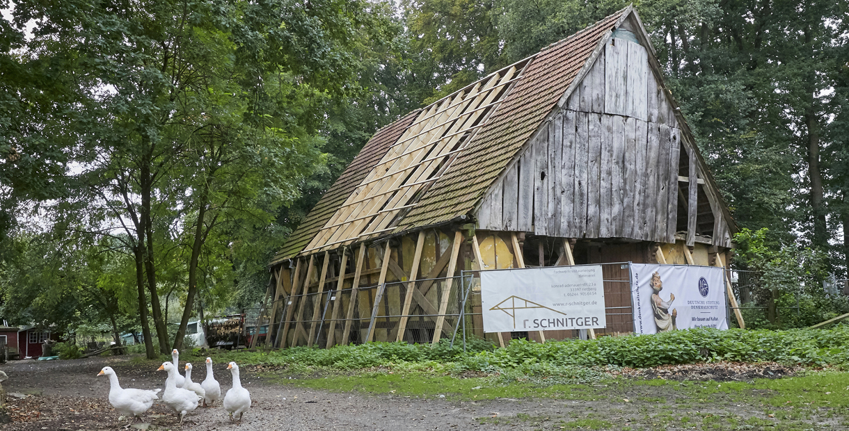 Hof Steckenpferd – Bild 3