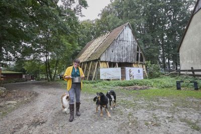 Hof Steckenpferd – Bild 4