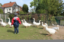 Wildgehege Witthausbusch – Bild 5