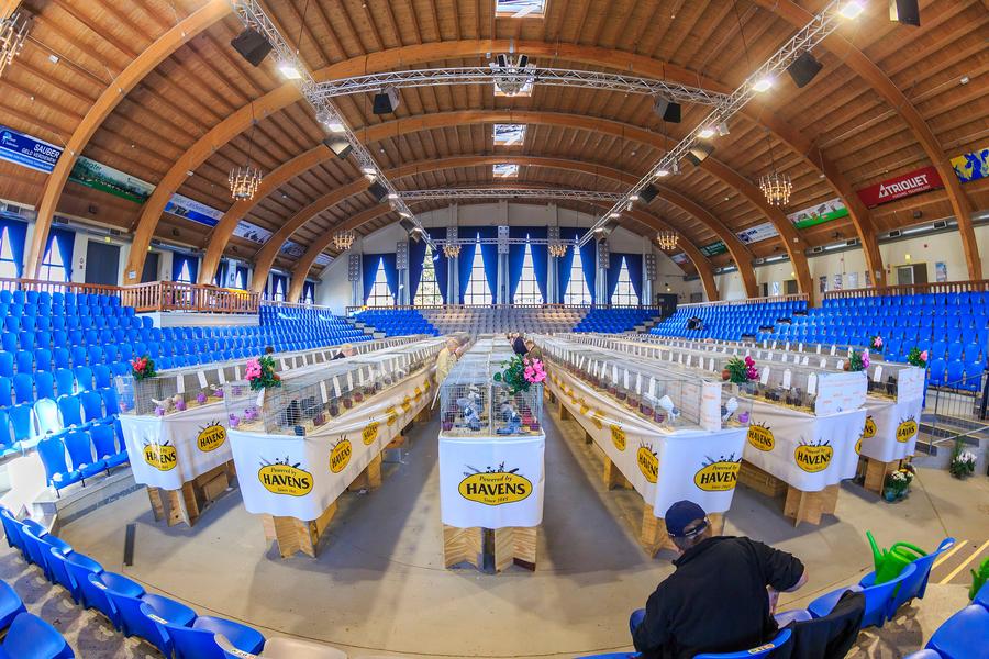 Zentralhallen Hamm – Bild 4