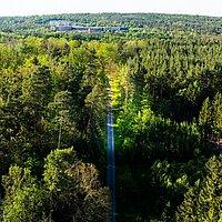 Geraer Stadtwald – Bild 5