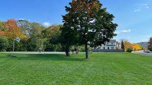 Coronation Park Playground – Bild 6