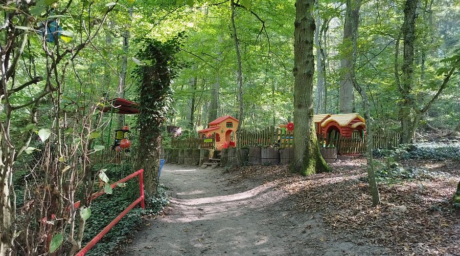 Kürnbacher Märchenwald – Bild 5