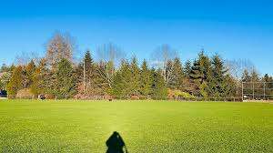 Terry Hughes Park – Bild 3