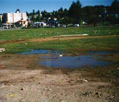 Terry Hughes Park – Bild 6