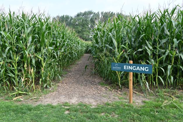 Travenhof – Bild 3