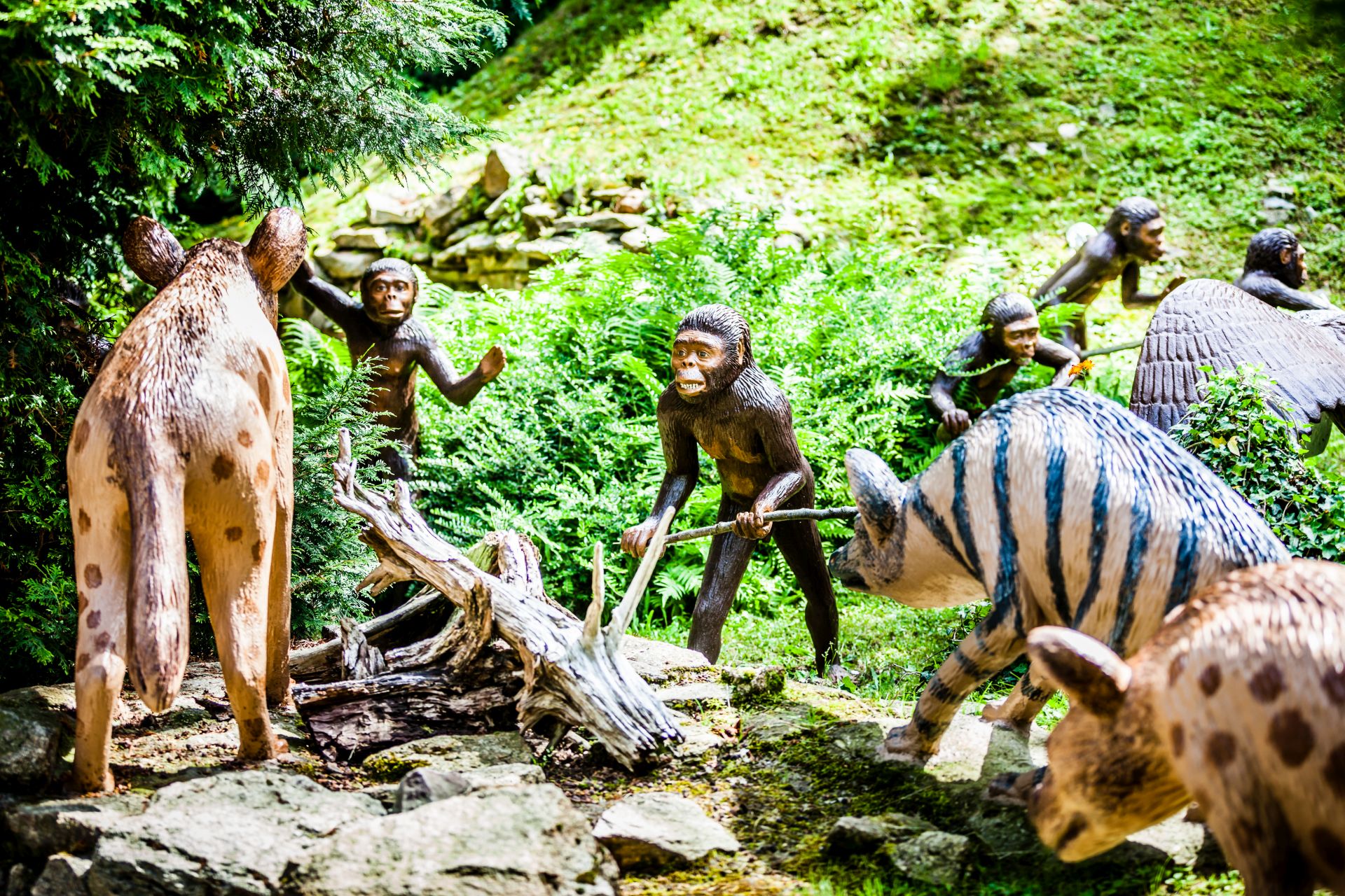 Sauriergarten Gruss – Bild 6