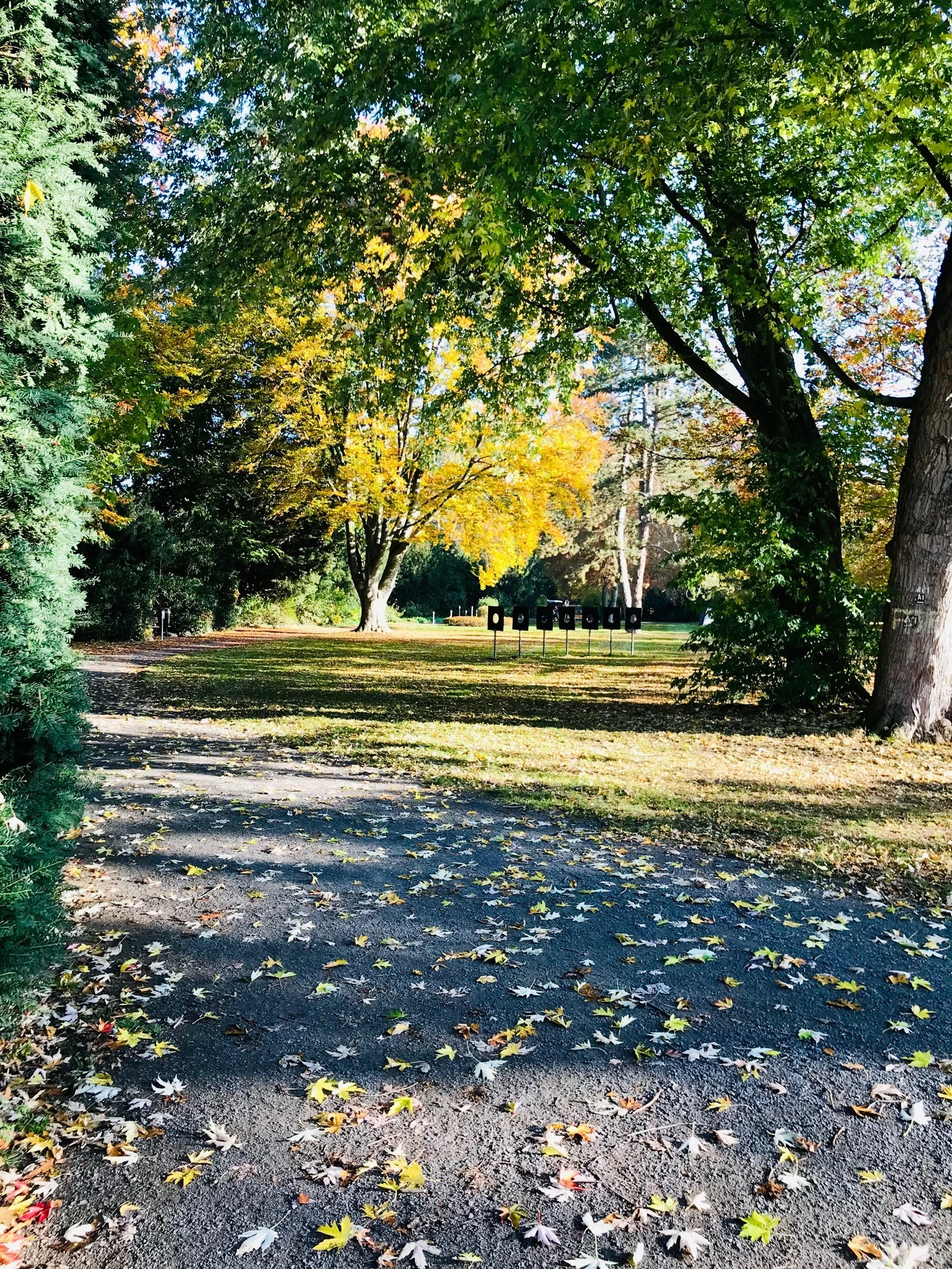 Park der Sinne an der Burg Wissem – Bild 5