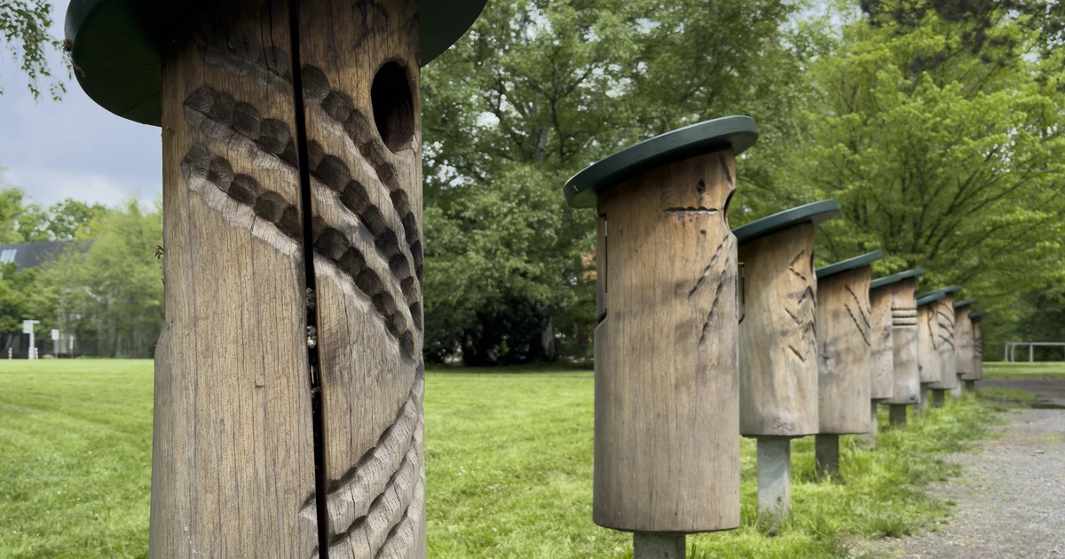 Park der Sinne an der Burg Wissem – Bild 6