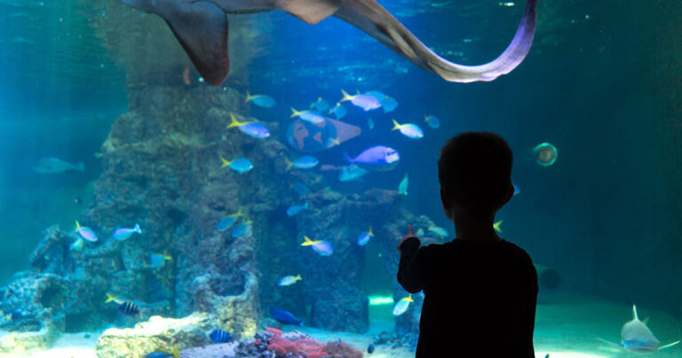 Aquarium Wilhelmshaven – Bild 1