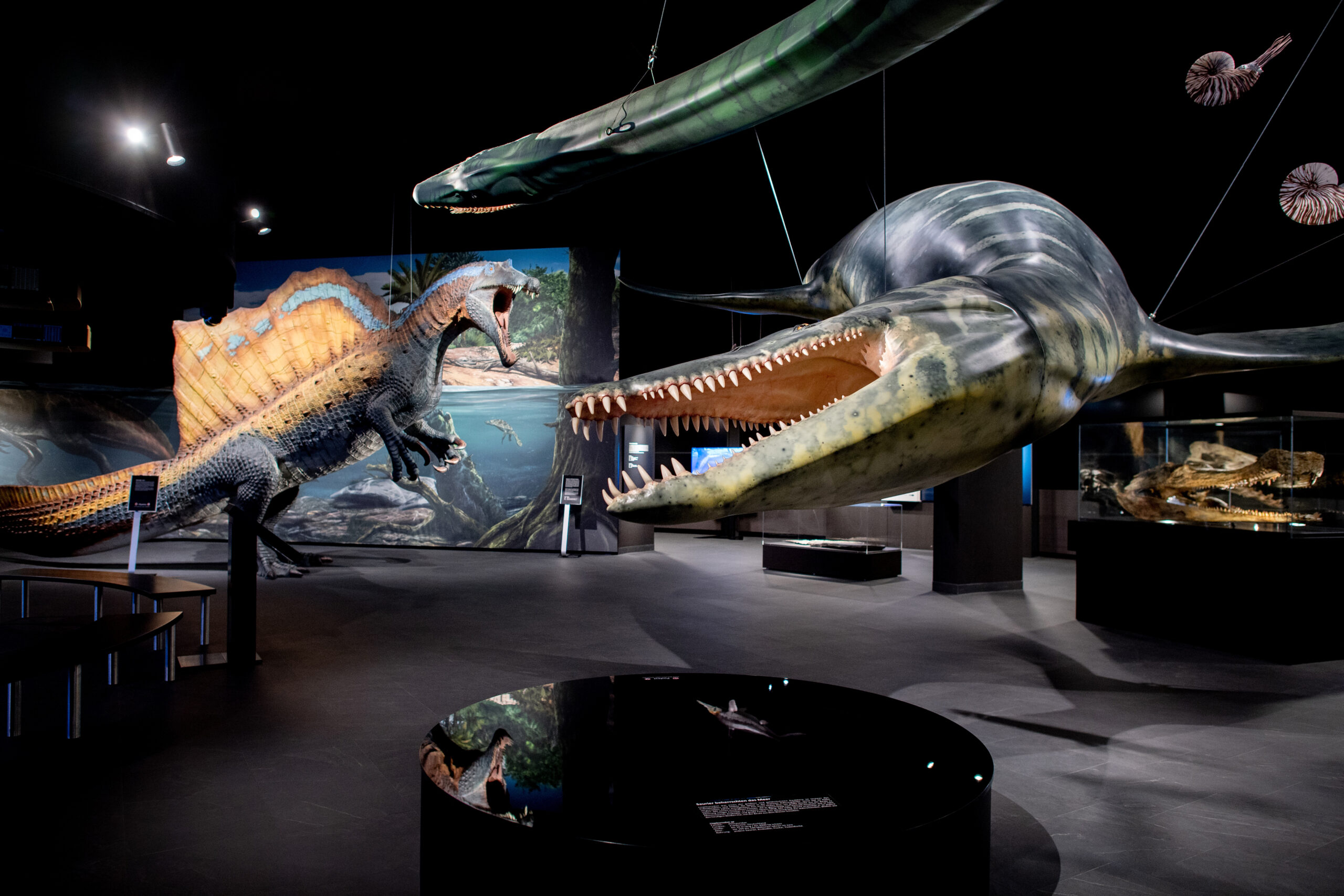 Aquarium Wilhelmshaven – Bild 3