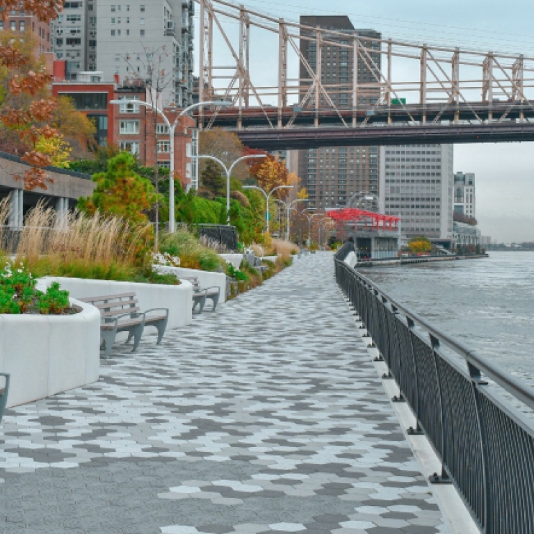 Green Tea – Bild 2