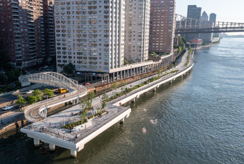 Green Tea – Bild 4