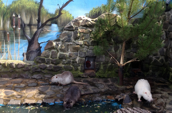 Haustierfarm im Wildpark Leipzig – Bild 3