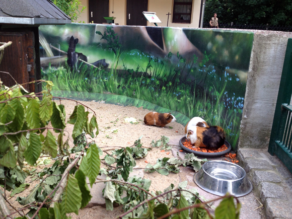 Haustierfarm im Wildpark Leipzig – Bild 4