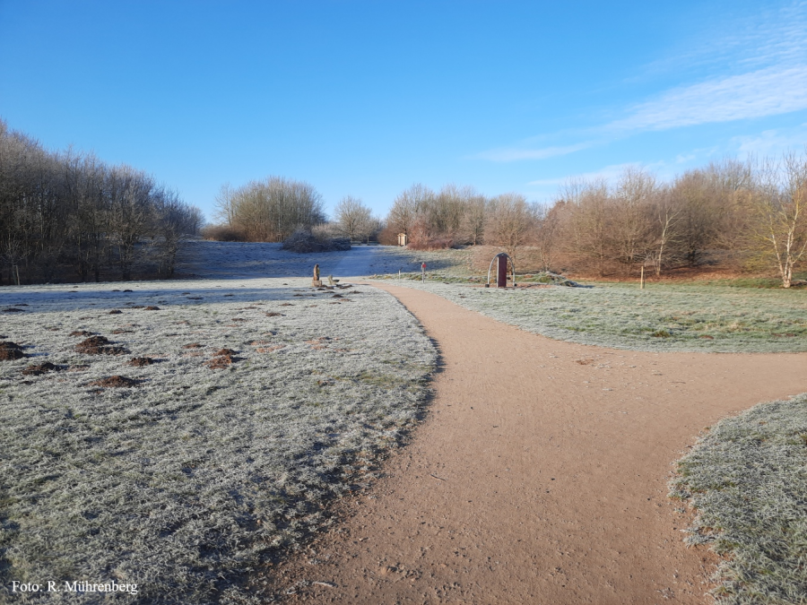 Humboldtwiese – Bild 4