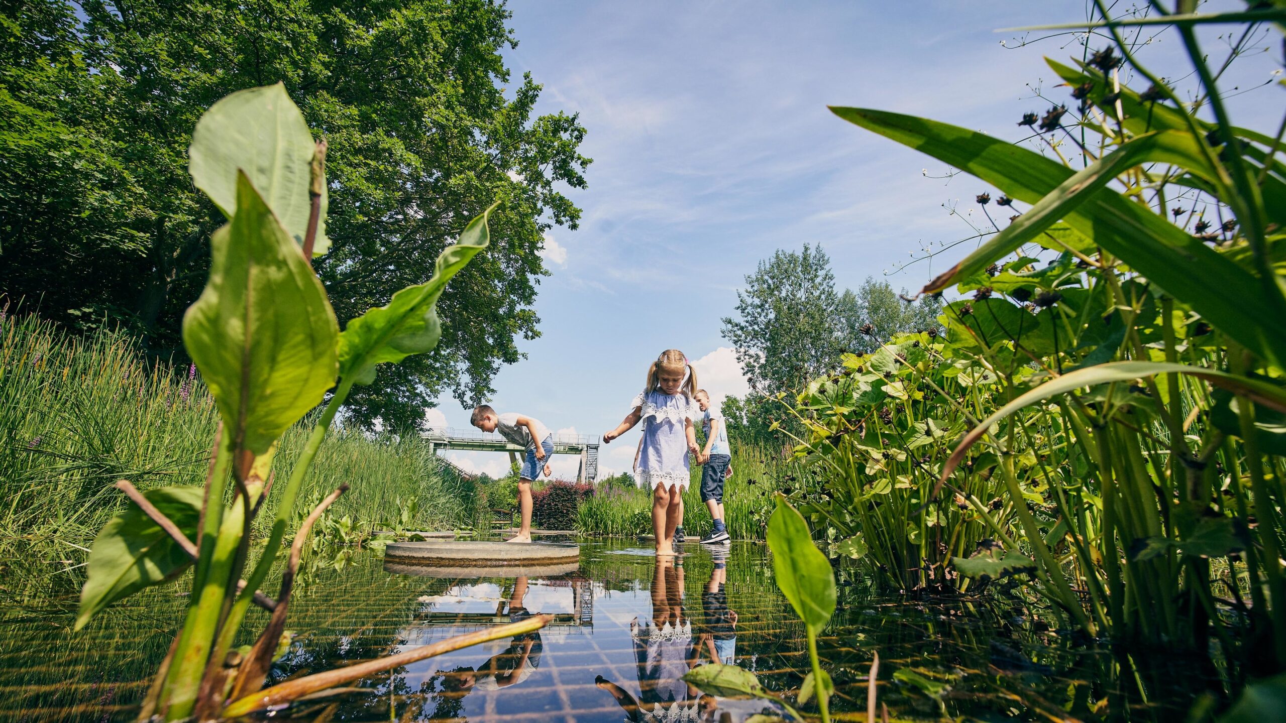 Montageheber im Familiengarten Eberswalde – Bild 6