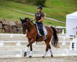 Centre Equestre Rosa Bella – Bild 1