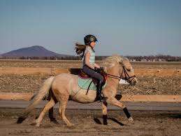 Centre Equestre Rosa Bella – Bild 2