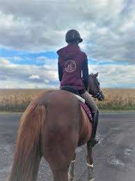 Centre Equestre Rosa Bella – Bild 5