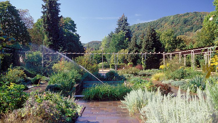 Oranienpark – Bild 1