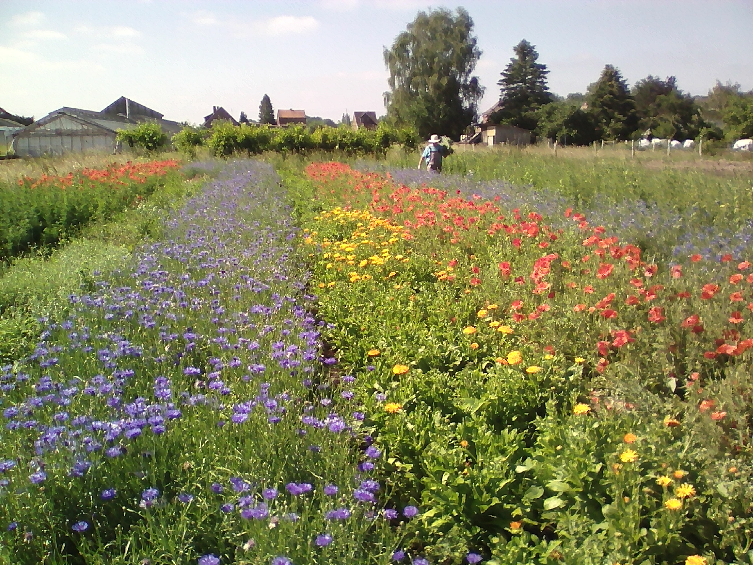 Erlebnisgarten-Hamburg – Bild 3